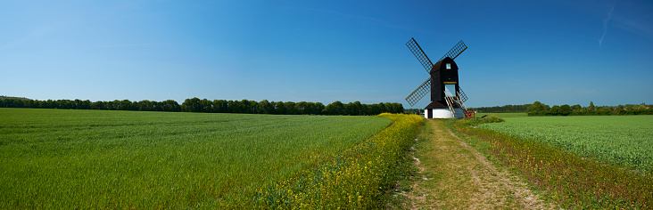 Springtime sunshine falls on a windmill in the English countryside. Panoramic made up of multiple images.