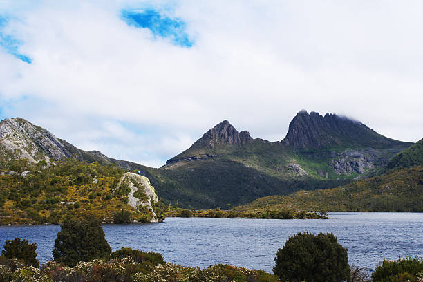 istock world heritage cradle mountain with dove lake 537439792