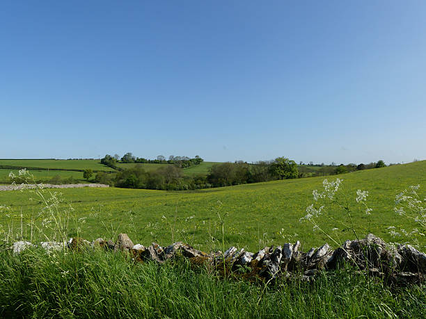 istock Rural scene in sunshine 537441020