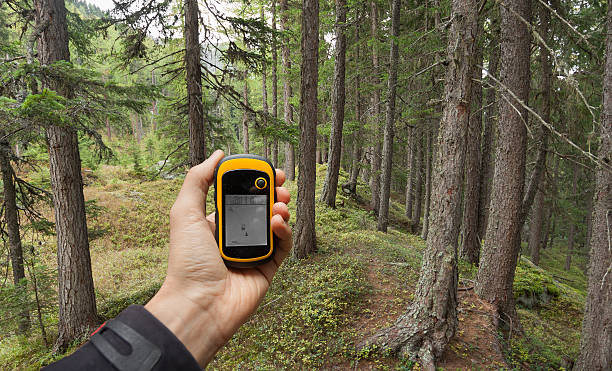 istock finding the right position in the forest via gps 537441834