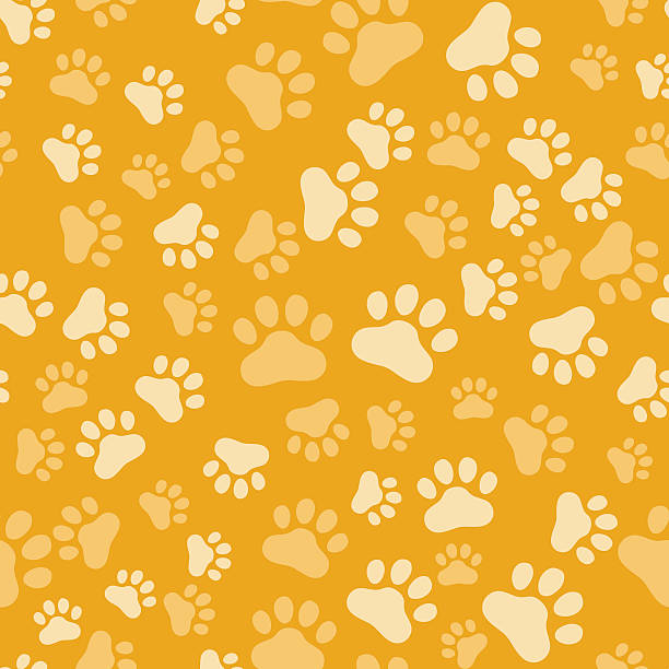Dog Paw Print Seamless, anilams pattern, vector illustration Dog Paw Print Seamless, anilams pattern, vector illustration becolor animal toe stock illustrations