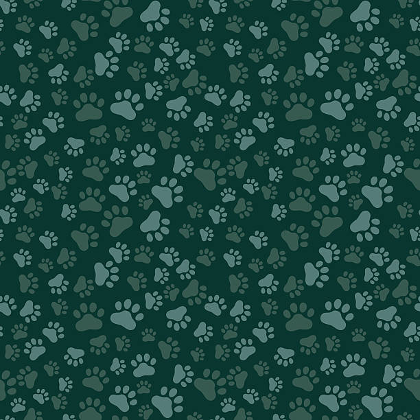 Dog Paw Print Seamless, anilams pattern, vector illustration Dog Paw Print Seamless, anilams pattern, vector illustration becolor animal toe stock illustrations