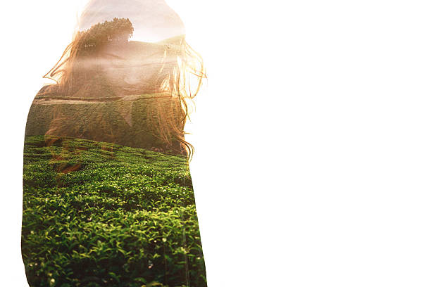 Double exposure of  caucasian woman and tea plantation 