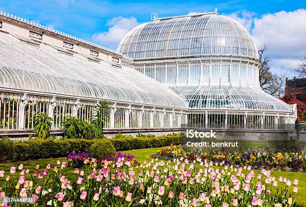 Palma Asamblea En Belfast Foto de stock y más banco de imágenes de Jardín Botánico - Jardín Botánico, Belfast, Reino Unido