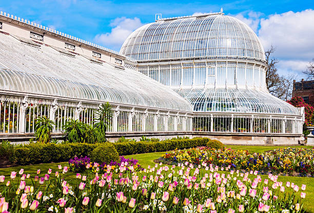 istock Palm House in Belfast 537444050
