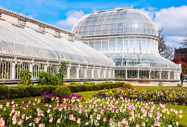 Palm House in Belfast Palm House in Belfast. Belfast, Northern Ireland, United Kingdom. belfast photos stock pictures, royalty-free photos & images