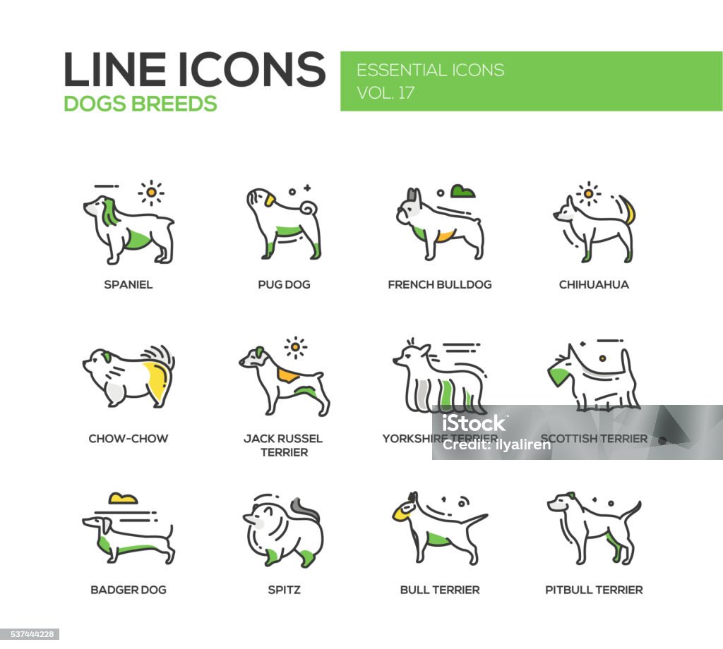 Dog breeds - line design icons set Set of modern vector line design icons and pictograms of domestic dogs breeds. Spaniel, french bulldog, chihuahua, chow-chow, jack russel terrier, yorkshire, scottish terrier, badger, spitz, pitbull Icon Symbol stock vector