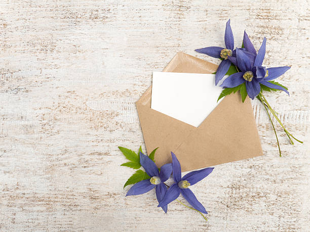 Kraft paper envelope with white blank card Kraft paper envelope with white blank card and blue clematis alpina flowers clematis alpina stock pictures, royalty-free photos & images