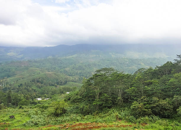 istock Sinharaja rainforest in Sri Lanka 537451558