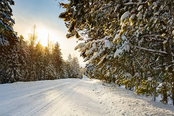 istock Winter road in snowy forest 537452157