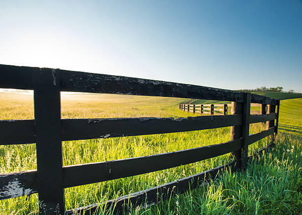 istock Close Up of Old Horse Fence 537452600