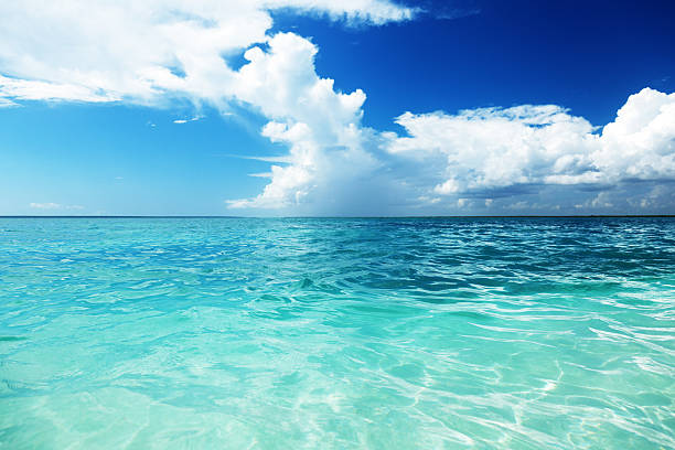 istock Caribbean sea, Dominican republic 537452873