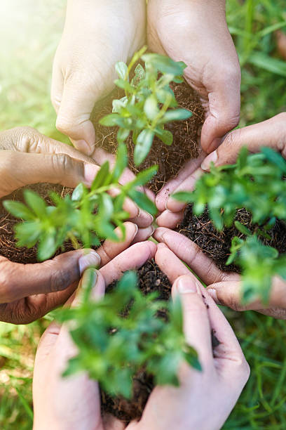istock Developing the future of the world together 537454244