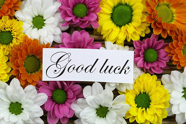 istock Good luck card with colorful santini flowers 537455193