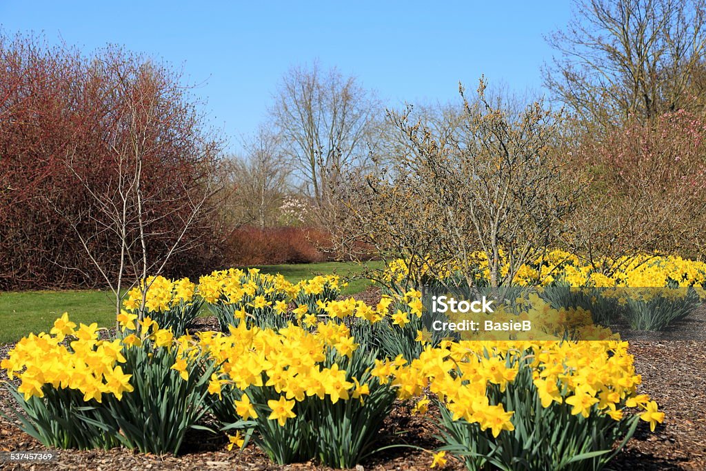 Frühling im Park - Lizenzfrei 2015 Stock-Foto