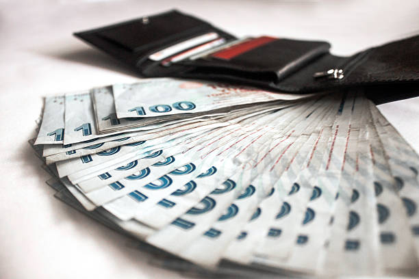 Credit cards in wallet and Turkish Lira stock photo