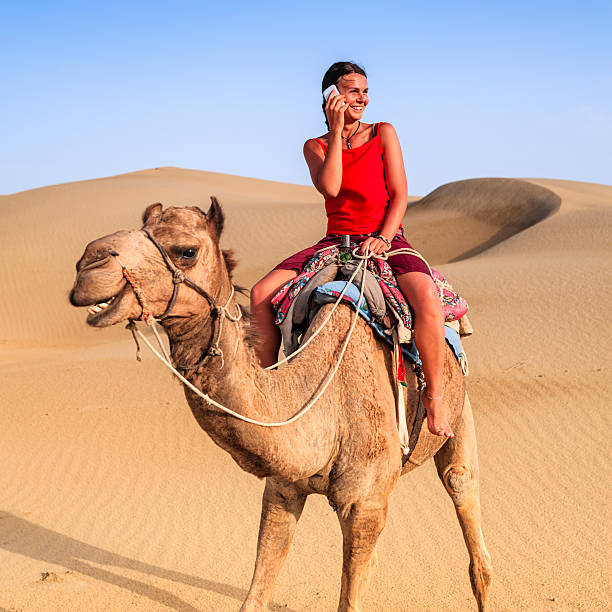 istock Young female tourist using mobile on a camel, Rajasthan, India 537459538