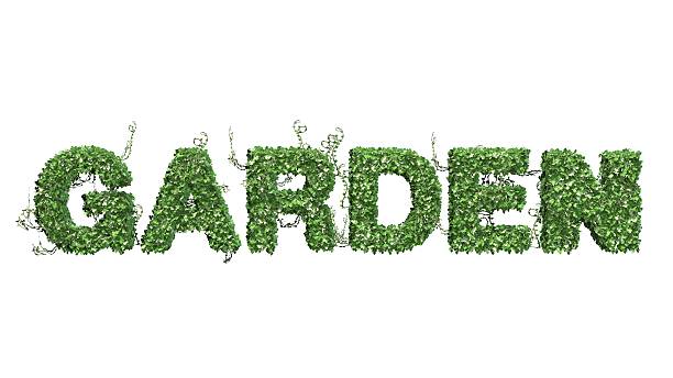 istock Garden text from green ivy leaves on white background 537460138