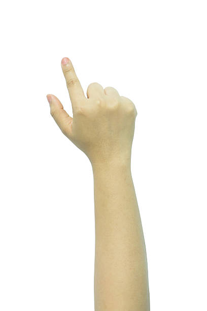 istock female hand touching or pointing isolated on white 537460514