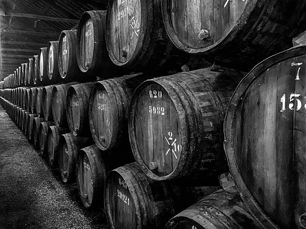 istock Barrels of Port In Winery 537460632
