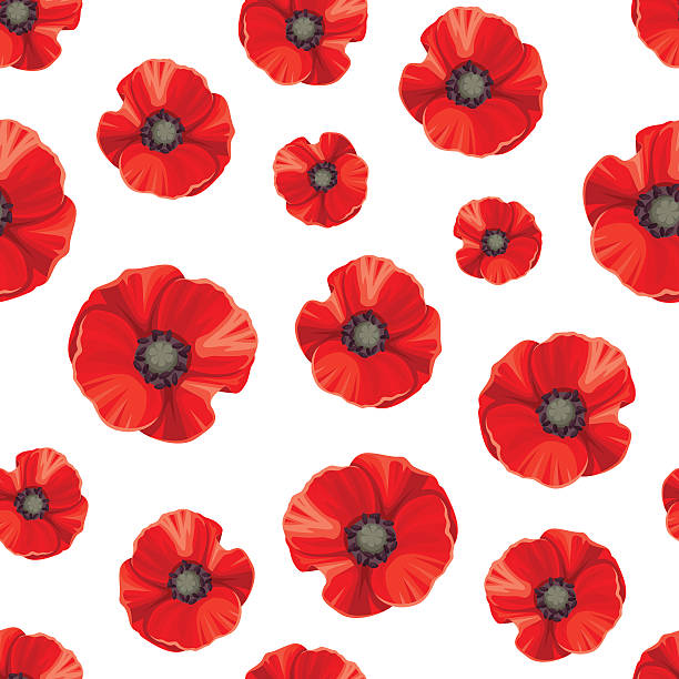 Seamless pattern with red poppies. Vector illustration. Vector seamless pattern with red poppies on a white background. red poppy stock illustrations
