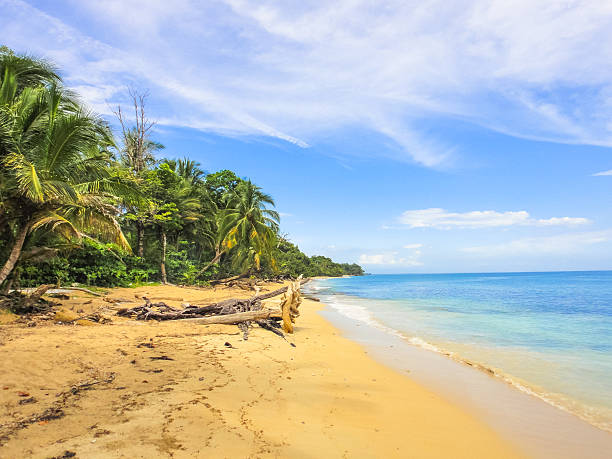 istock Bocas del Toro - Caribbean sea. Panama 537463940