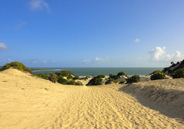 istock Shela beach in Lamu. Kenya 537464702