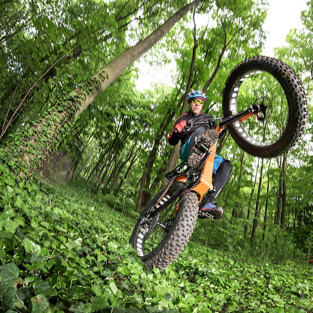 istock Bicycle rider in the woods 537466612