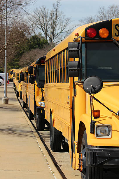 istock School Buses Lined Up on Street 537469395