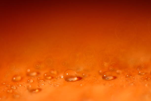 istock orange golden background blur bokeh texture drops 537469423