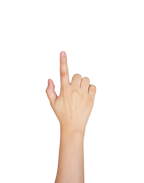 istock female hand touching, pointing to something 537469906