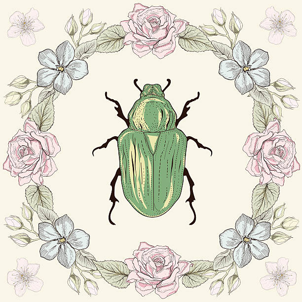 Floral frame and beetle Hand drawn floral frame and beetle. Colorful illustration. Vintage engraving style rose chafer cetonia aurata stock illustrations