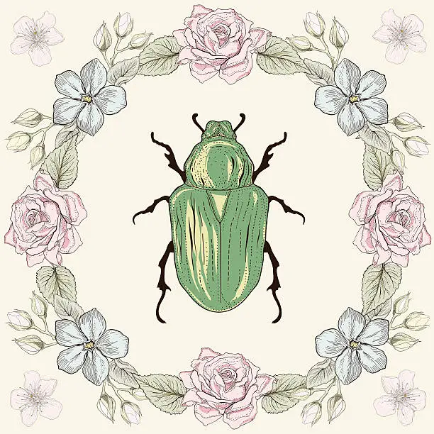 Vector illustration of Floral frame and beetle