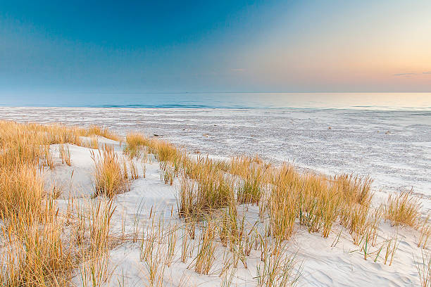 istock beautiful view of the coastal dunes 537470510