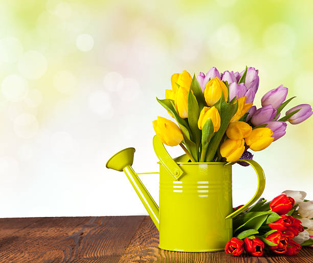 istock Colored tulips on wooden planks 537470757