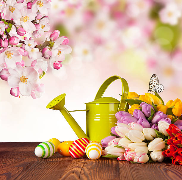 istock Colored tulips on wooden planks 537470817