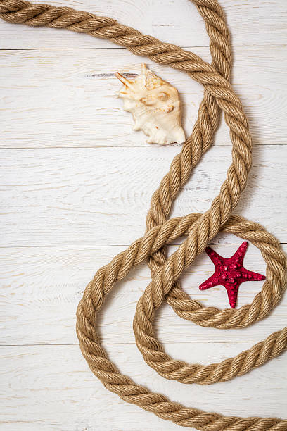 istock sea shell and rope on white boards 537471562