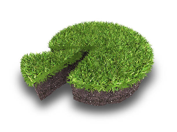 istock cross section of ground with grass 537471972