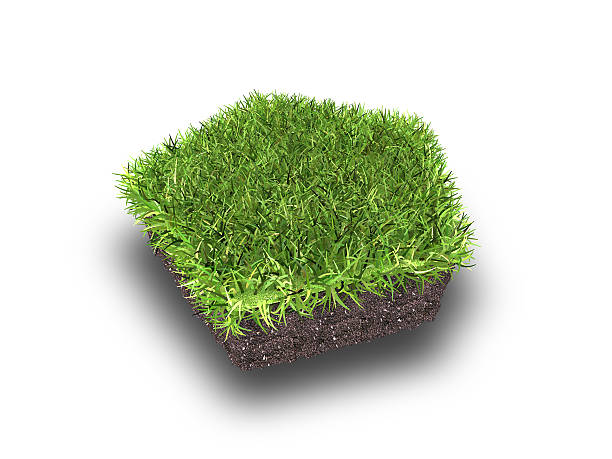 istock cross section of ground with grass 537472034