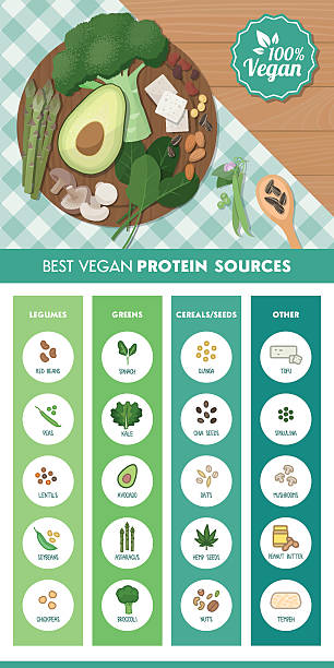 illustrazioni stock, clip art, cartoni animati e icone di tendenza di cucina vegana fonti di proteine - nut bean legume seed