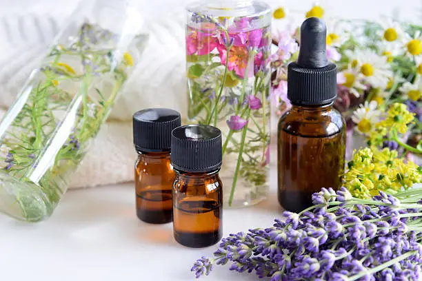 essential oils and natural cosmetics with fresh herbal leaves and flowers for beauty treatment
