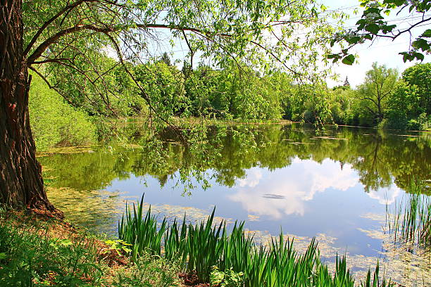 istock Beautiful summer landscape at a sunny day 537472328
