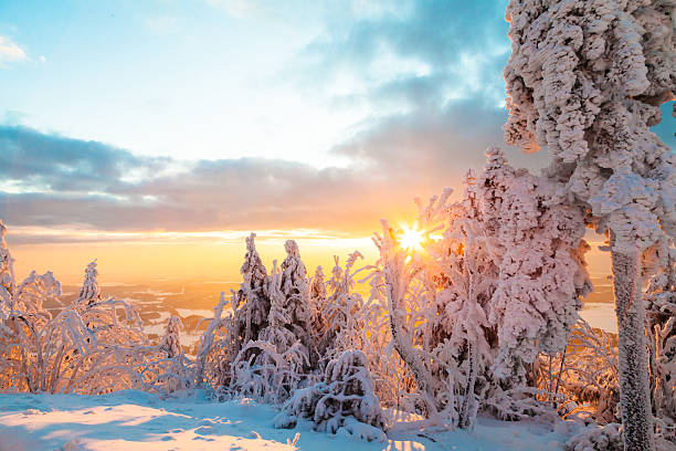 istock Snowy winter landscape in sunset 537472341