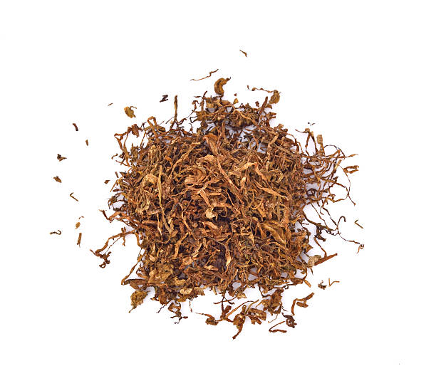 istock tobacco isolated on a white background 537473052