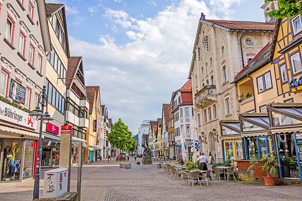 swabian student city of tuebingen from above. old town roofs and neckar river.