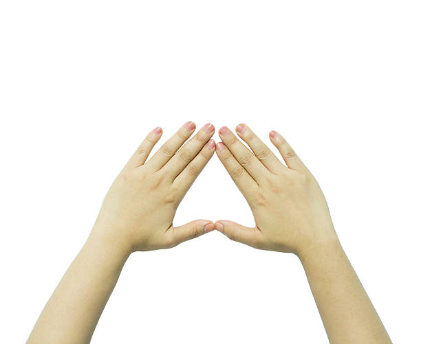 istock Two woman hands Finger Frame isolated on white 537475366