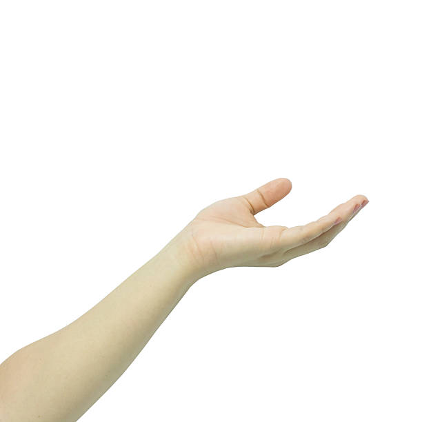 istock woman open hand isolated on white background. 537475584