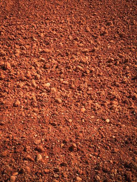 istock To the new harvest 537476536