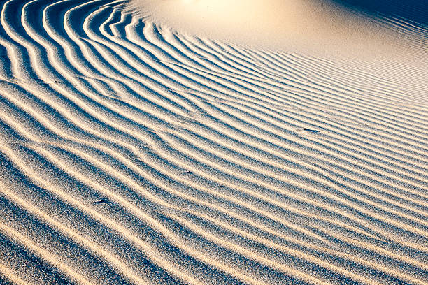 istock beautiful view of the coastal dunes 537476632