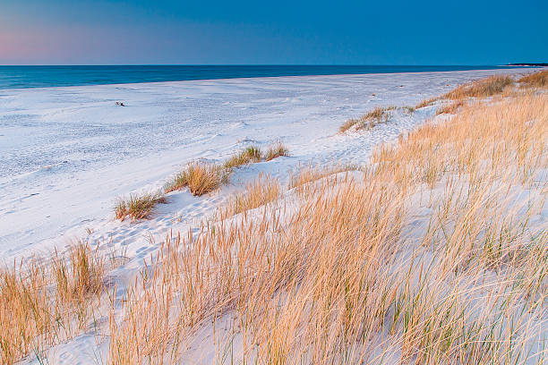 istock beautiful view of the coastal dunes 537476940